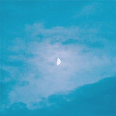 管家婆一码一肖资料下载手机版